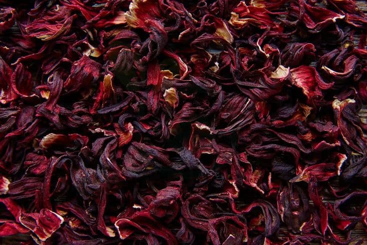 Hibiscus